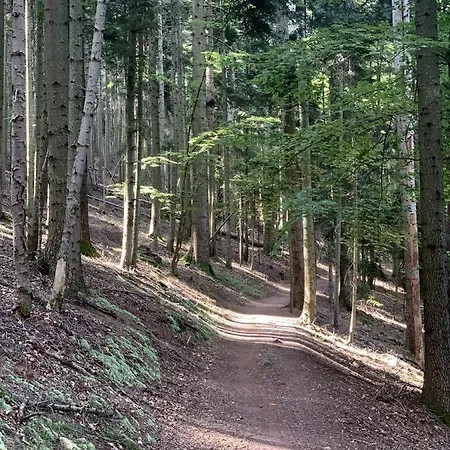 Apartamento Du Comté De *