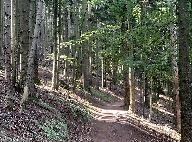 Appartement Du Comte De *
