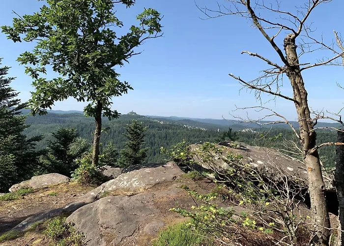 Appartement Du Comte De